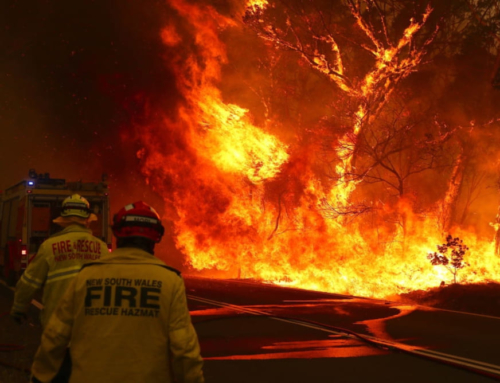 豪州山火事、100カ国分の二酸化炭素を排出か？
